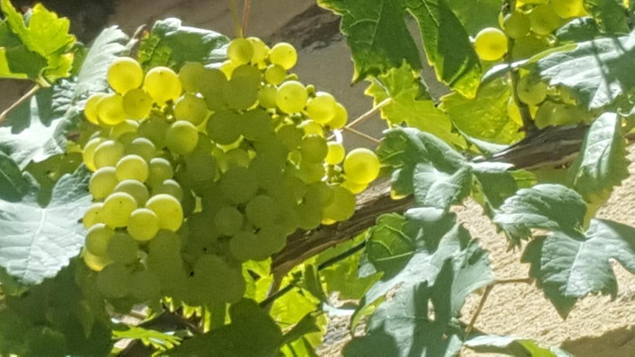 L'Amphitryon Hotel Coudray  Екстериор снимка